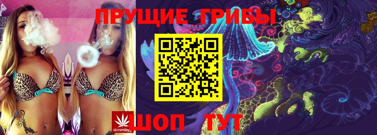 Кириши  Галлюциногенные грибы мухоморы  Вход с VPN 